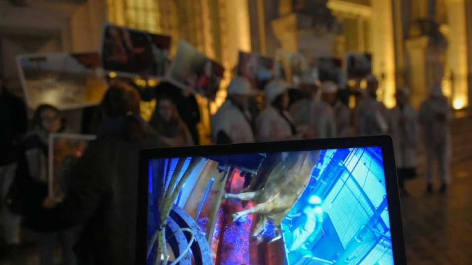 Maltraitance animale: appel à une inspection généralisée des abattoirs