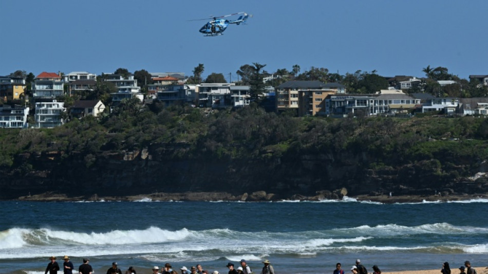 Un surfeur tué par un "grand requin" en Australie