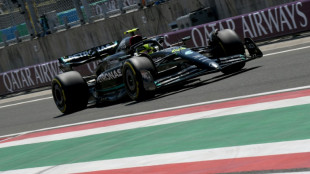 Hamilton bounces back to outpace Verstappen in Hungarian practice