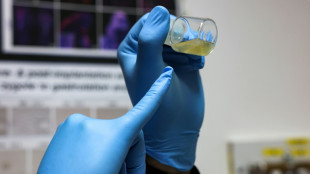 &iquest;Embriones sint&eacute;ticos? Una perspectiva lejana, pero creciente