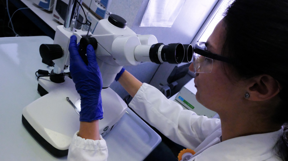 Scoperto un nuovo antibiotico dopo 30 anni,sfida i super batteri