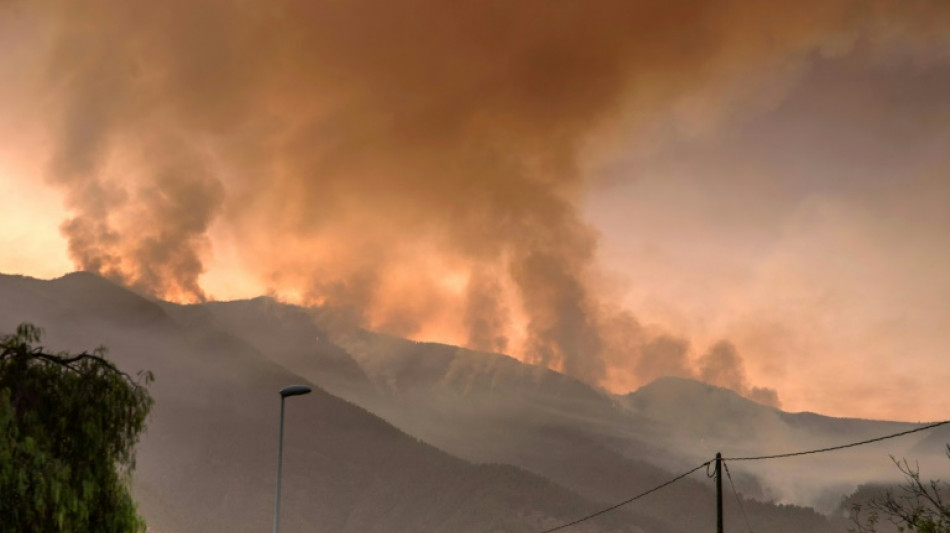 El incendio en la isla espa&ntilde;ola de Tenerife sigue sin control