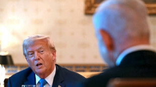 Trump to hold fresh talks with Netanyahu to end Gaza 'tragedy'