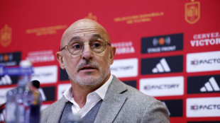 Euro 24: de la Fuente 'la Spagna c'&egrave;, dobbiamo iniziare bene'