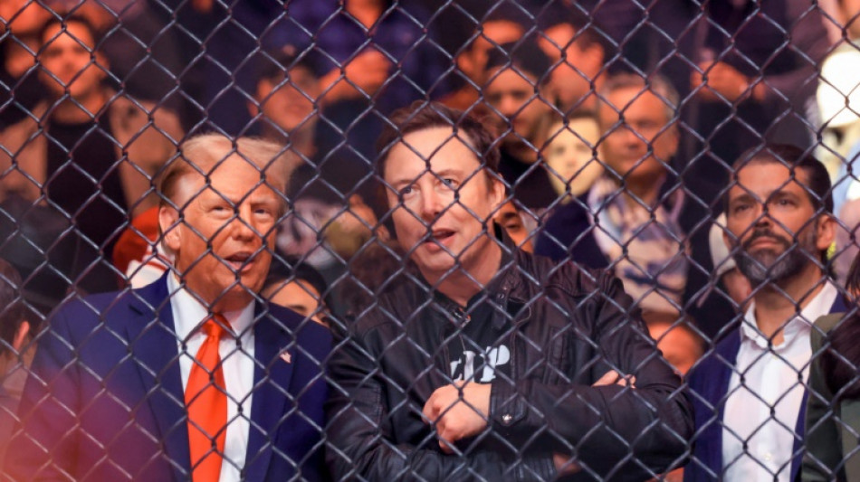 Las compa&ntilde;&iacute;as tecnol&oacute;gicas despliegan la alfombra roja a Trump y Musk