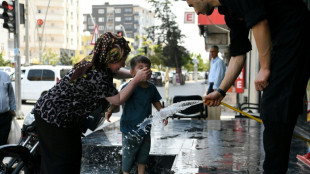 Más de 50 ºC en Turquía: "nadie puede acostumbrarse a un calor así"