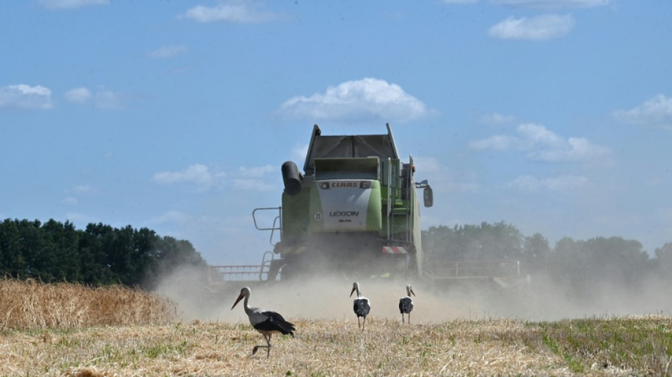 EU und Ukraine einigen sich auf Handelsabkommen f&uuml;r Agrarprodukte