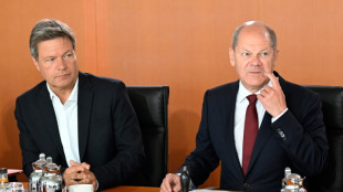 Alemania denuncia que la reducci&oacute;n del flujo de gas ruso es una "decisi&oacute;n pol&iacute;tica"