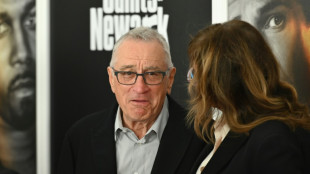 Une cambrioleuse arr&ecirc;t&eacute;e sous le sapin de No&euml;l de Robert De Niro