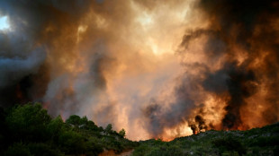 France seeks to 'stabilise' wildfire raging in south