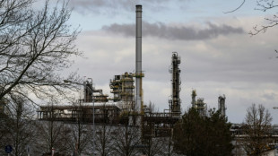 Les sanctions am&eacute;ricaines ne visent pas les filiales allemandes de Rosneft, assure Berlin