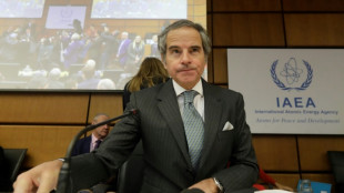 El argentino Grossi, director del OIEA, expresa inter&eacute;s en ser jefe de la ONU