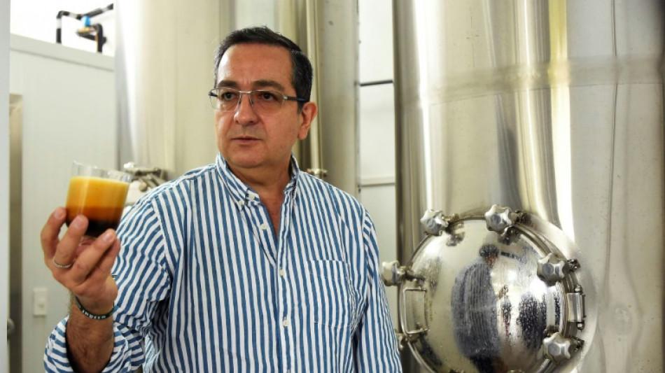 En Ecuador recrean una cerveza de hace 400 a&ntilde;os tras "resucitar" una levadura