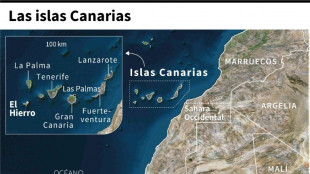 Cuatro muertos, 29 desaparecidos y un superviviente en un barco cerca de Canarias, seg&uacute;n rescatistas y una ONG
