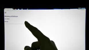 Gr&uuml;ne zufrieden mit Zusagen zur Finanzierung von Cyberabwehr und Zivilschutz