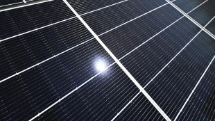 Energy Release 2.0: Mase, richiesti oltre 70 Twh di elettricit&agrave;