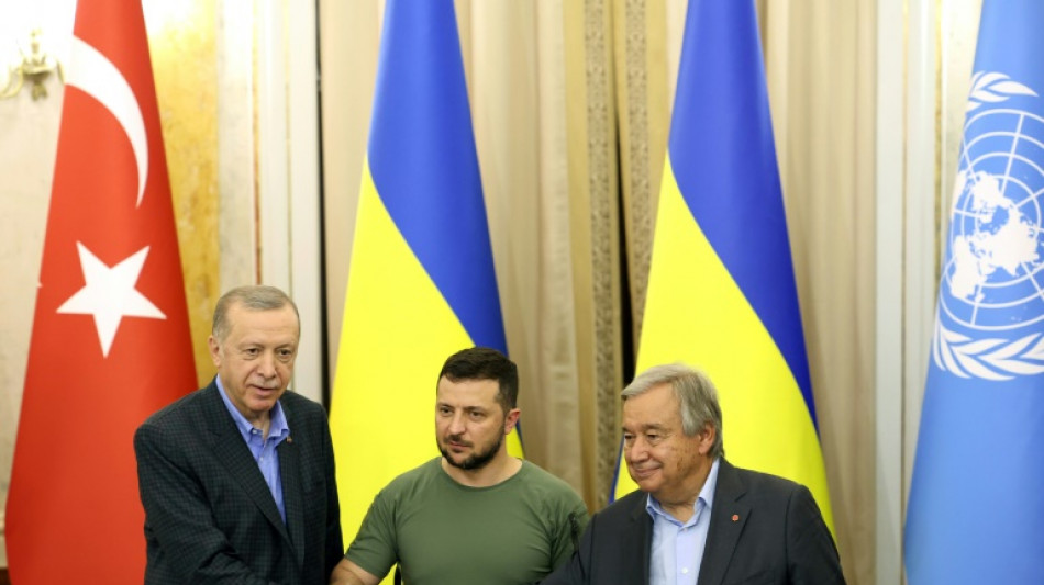 Ukraine: apr&egrave;s les c&eacute;r&eacute;ales, Erdogan propose sa m&eacute;diation sur la centrale de Zaporijjia 