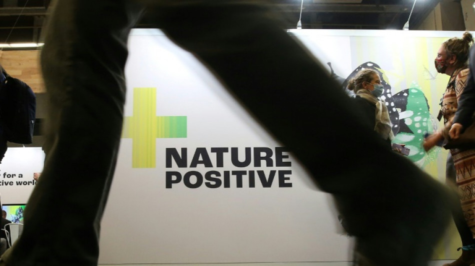 Lemke k&uuml;ndigt bei UN-Biodiversit&auml;tskonferenz neues Projekt an