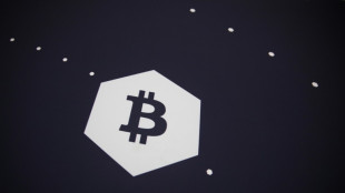 La Centrafrique adopte le bitcoin comme monnaie l&eacute;gale