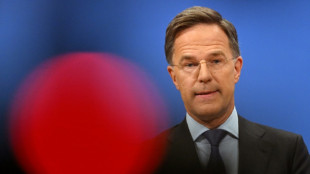 NATO chief says alliance with US 'there to stay'