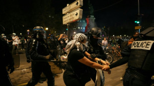 Milhares participam de manifesta&ccedil;&otilde;es pr&oacute;-palestinas proibidas na Fran&ccedil;a