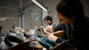 TikTok videos exploit trade war to sell fake luxury goods