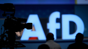 M&ouml;gliches AfD-Verbotsverfahren bleibt in Koalition umstritten