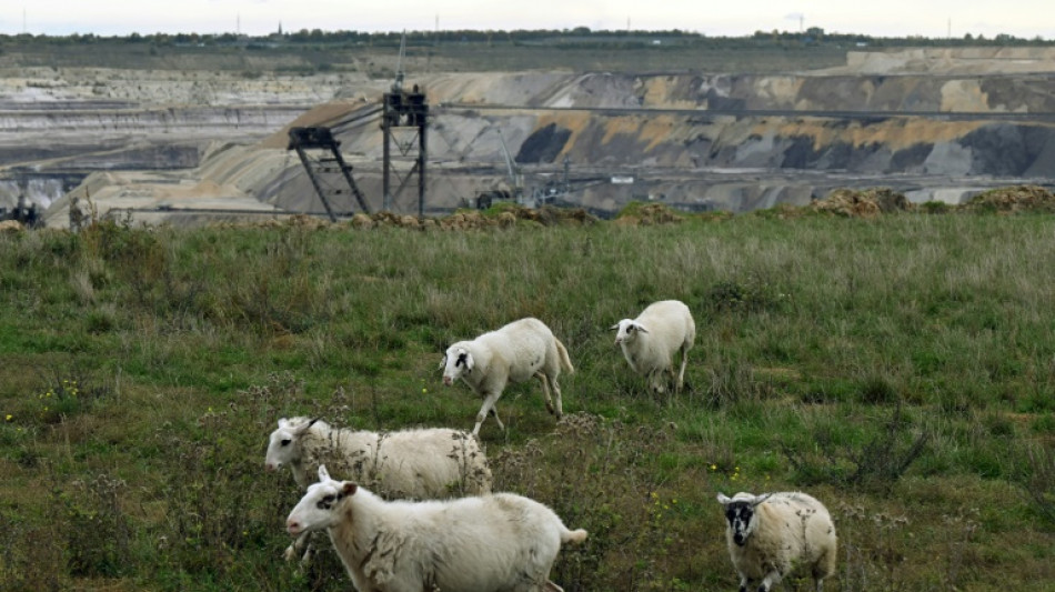 Bundesregierung beschlie&szlig;t vorgezogenen Kohleausstieg in Nordrhein-Westfalen