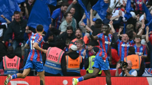 Palace sweep past Villa to reach FA Cup final