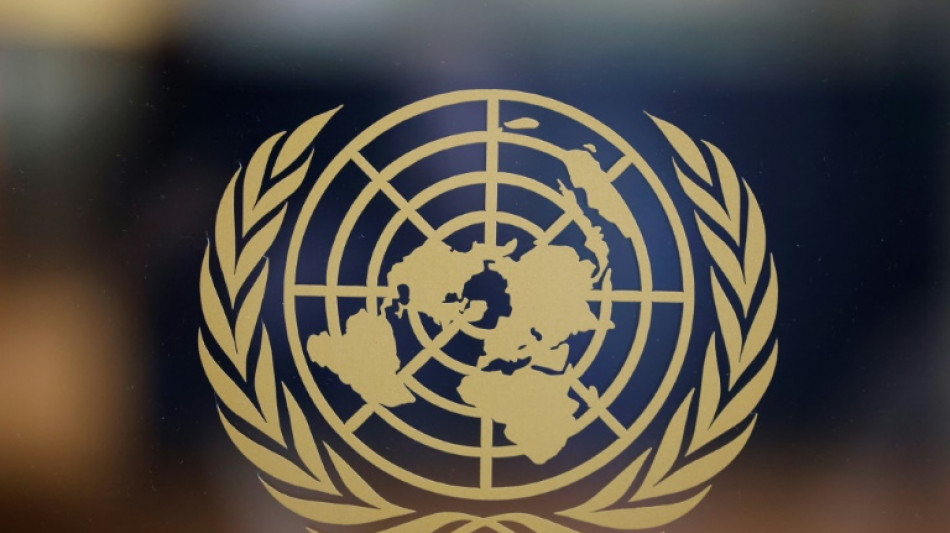 Mali civilians increasingly at risk, UN experts warn