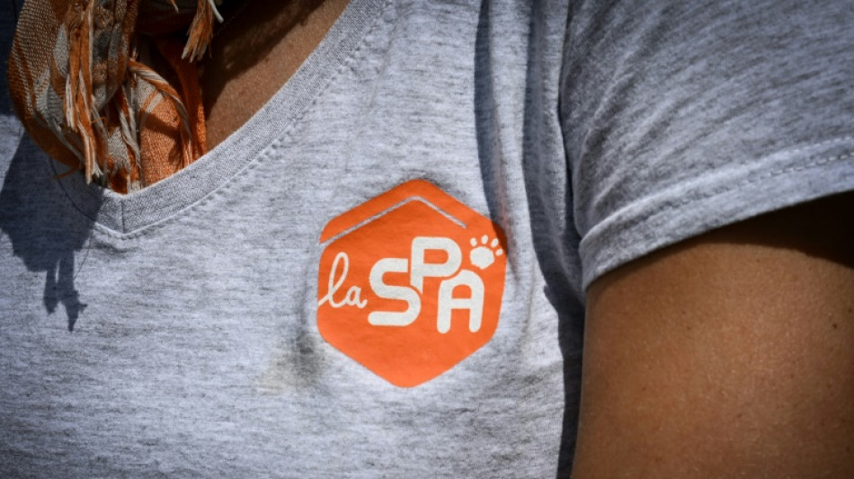 La SPA lance sa campagne d'été contre l'abandon des animaux, avec Gilles Lellouche  