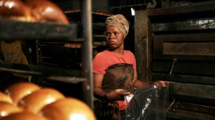 Los precios mundiales de los alimentos siguieron a la baja en febrero, seg&uacute;n la FAO