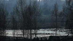 Al menos 26 muertos en un accidente de tr&aacute;fico en el oeste de Ucrania