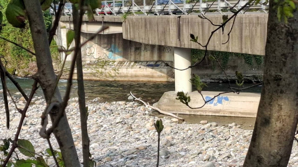 Cadavere di donna nel fiume Serio, si indaga per omicidio