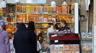 Un vuelo exclusivo para mujeres aterriza por primera vez en Mashhad, ciudad santa iran&iacute;