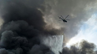 Iran's president visits site of port blast that killed 28 