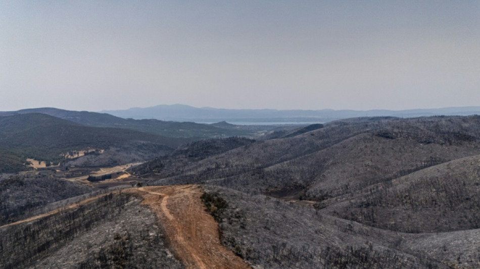 Waldbr&auml;nde w&uuml;ten weiter in Griechenland und Frankreich