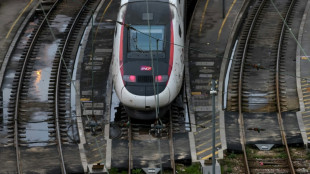 Gr&egrave;ve: d&eacute;but de semaine calme dans les gares, et des retours dimanche garantis selon la SNCF