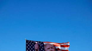 Other governments 'weaponising' Trump language to attack NGOs: rights groups