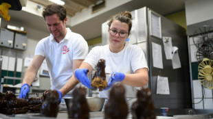 Zahl der Neuvertr&auml;ge in dualer Ausbildung nimmt ab 