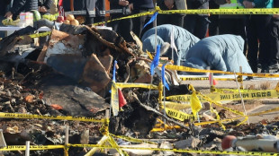 Corea del Sur env&iacute;a a Estados Unidos una caja negra del avi&oacute;n accidentado