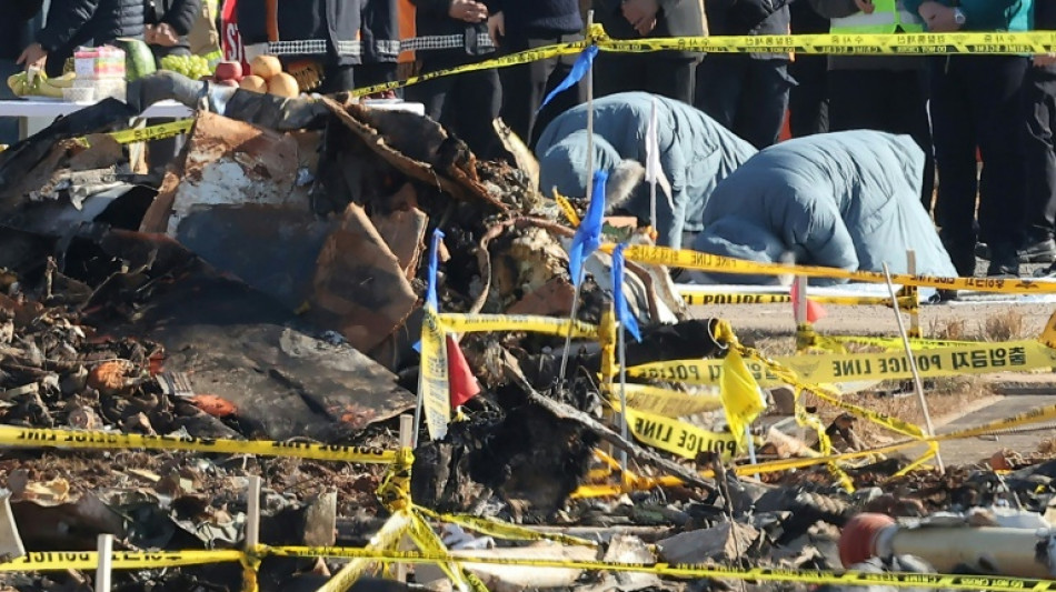 Coreia do Sul envia aos EUA caixa-preta do avi&atilde;o acidentado