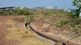 Sud&aacute;n del Sur anuncia la reanudaci&oacute;n de la producci&oacute;n de petr&oacute;leo tras casi un a&ntilde;o de interrupci&oacute;n