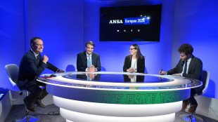 Fitto, il caso Borghi &egrave; assolutamente chiuso