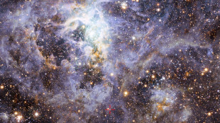 Da un buco nero lampi di raggi X sempre pi&ugrave; veloci, mai visti