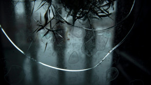 Un hombre buscado en Estados Unidos por el ataque al Capitolio obtuvo asilo pol&iacute;tico en Bielorrusia