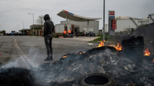 La AIE insta a tomar medidas para reducir r&aacute;pidamente el consumo de petr&oacute;leo