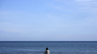 Terremoto in Giappone, registrate onde di 80 centimetri nel nord del Paese