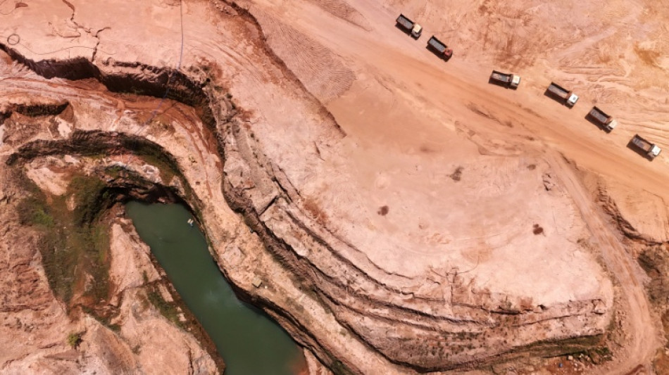 Paraguay gold rush leaves tea producers bitter 