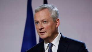 Le cabinet McKinsey "paiera ce qu'il doit &agrave; l'&Eacute;tat fran&ccedil;ais", assure Le Maire